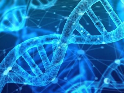 Genomics: A New Era of Evidence-Based Healthcare Management