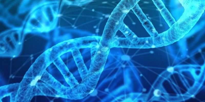 Genomics: A New Era of Evidence-Based Healthcare Management